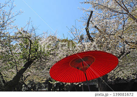 靖国神社＿境内の桜 139081672