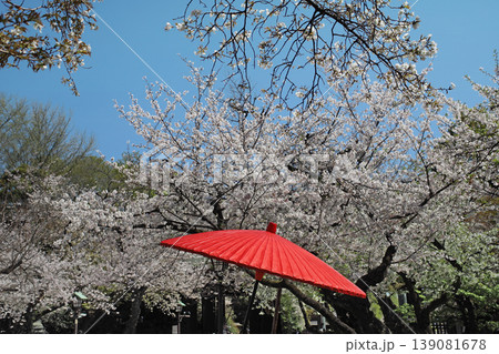 靖国神社＿境内の桜 139081678