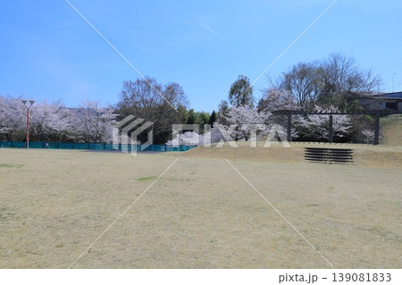 桜満開の清水川せせらぎ公園 桜満開の清水川せせらぎ公園 139081833