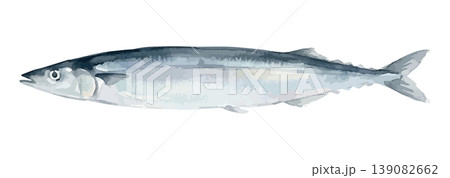 水彩風のさんまのイラスト 139082662