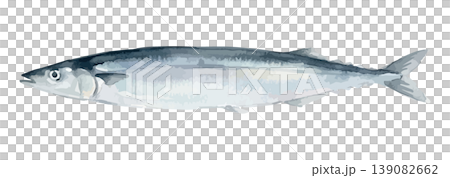 水彩風のさんまのイラスト 139082662