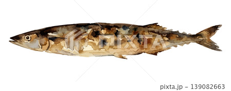 水彩風のさんまのイラスト 139082663