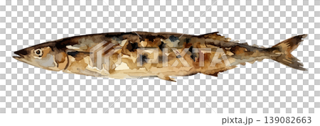 水彩風のさんまのイラスト 139082663
