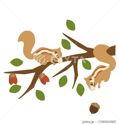 ドングリのなる枝で遊ぶリスのイラスト 139082665