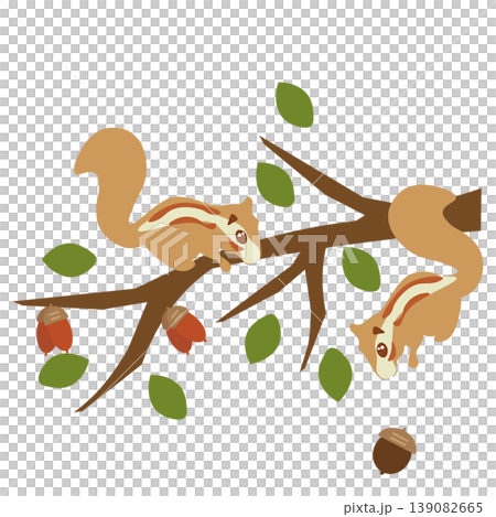 ドングリのなる枝で遊ぶリスのイラスト 139082665