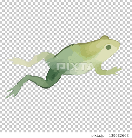 水彩風のカエルのイラスト 139082668