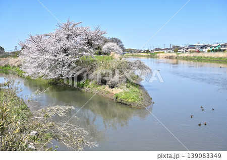 岩槻散歩:元荒川 一級河川 岩槻散歩:元荒川 一級河川 139083349