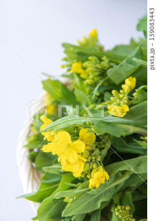 野沢菜の茎立ち 野沢菜の茎立ち 139083443