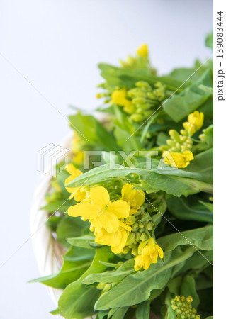 野沢菜の茎立ち 野沢菜の茎立ち 139083444