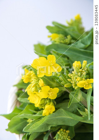 野沢菜の茎立ち 野沢菜の茎立ち 139083445