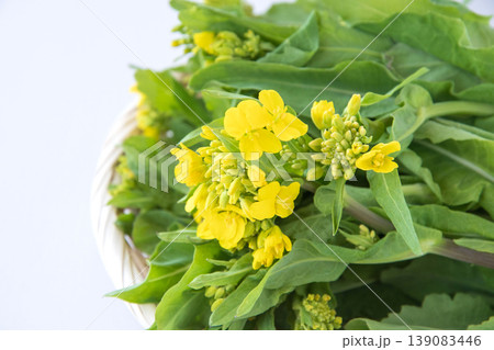 野沢菜の茎立ち 野沢菜の茎立ち 139083446