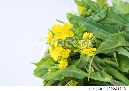野沢菜の茎立ち 139083448