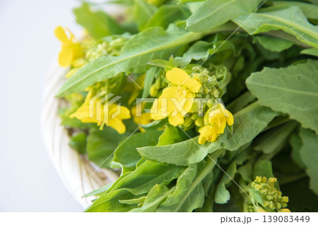 野沢菜の茎立ち 野沢菜の茎立ち 139083449