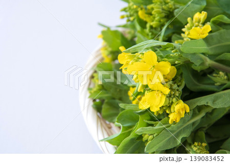 野沢菜の茎立ち 野沢菜の茎立ち 139083452
