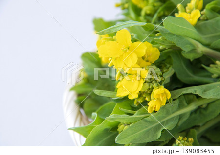 野沢菜の茎立ち 野沢菜の茎立ち 139083455