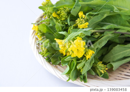 野沢菜の茎立ち 139083458