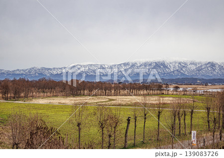 新潟県の福島潟の展望台から見た冬の荒涼とした風景 新潟県の福島潟の展望台から見た冬の荒涼とした風景 139083726