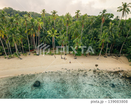 Aerial view of tropical beach and lush palm forest 139083808