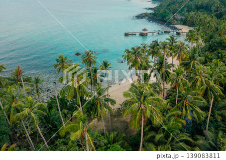 Aerial view of a beautiful tropical island coastline with clear turquoise water, white sand beach, and lush green palm trees. 139083811