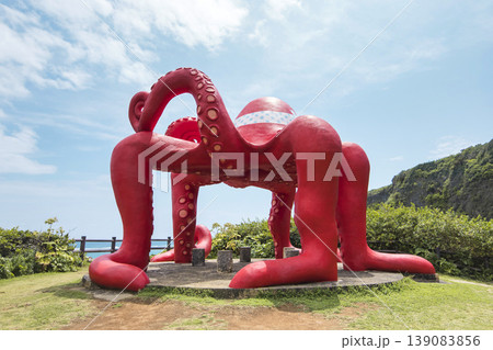 宮古　来間島のタコ公園 139083856
