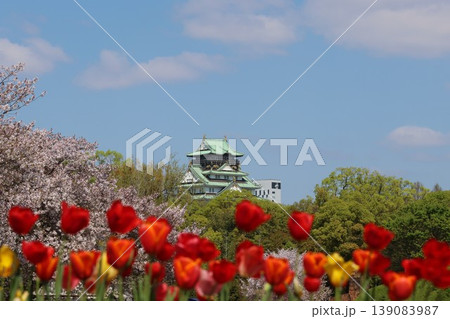 春の公園に咲くチューリップの花壇から見る天守閣 春の公園に咲くチューリップの花壇から見る天守閣 139083987