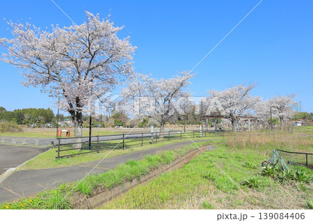 小貝川親水公園／栃木県 益子町 139084406