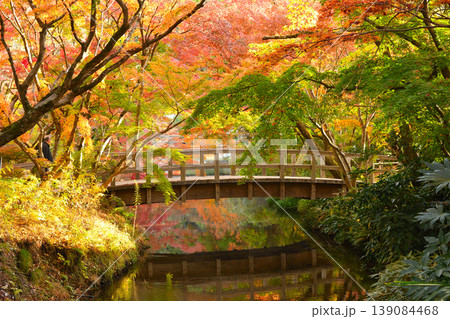 秋の湯布院 秋の湯布院 139084468