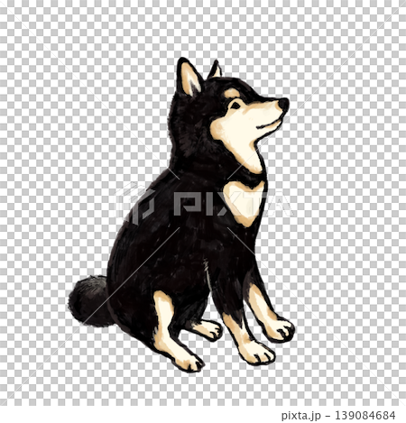 A black Shiba Inu sitting politely. 139084684