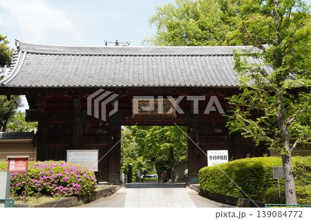護国寺 惣門 新緑とツツジの風景 東京都文京区 護国寺 惣門 新緑とツツジの風景 東京都文京区 139084772
