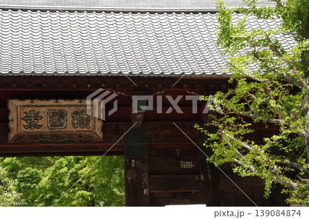 護国寺 惣門と境内の緑 5月の風景(重要文化財) 護国寺 惣門と境内の緑 5月の風景(重要文化財) 139084874