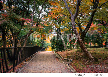 Autumn Scenery at Arashiyama Park Kameyama Area Nov 24 2025 139084882