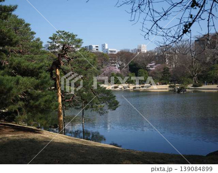 日本庭園　皇居 139084899