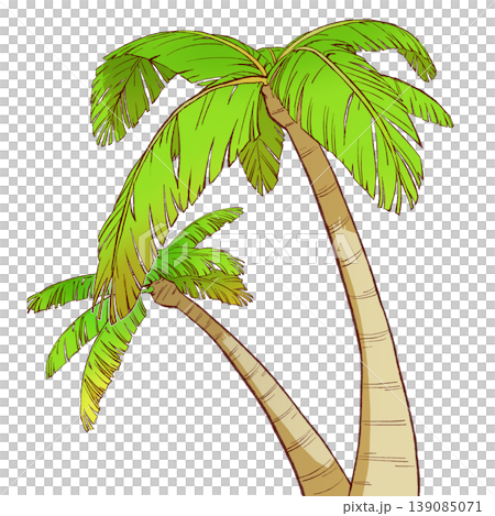 Illustration of Palm Tree Illustration of Palm Tree 139085071