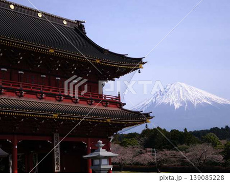 大石寺と富士山 大石寺と富士山 139085228