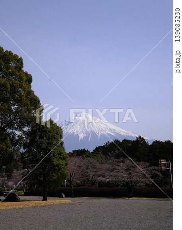 大石寺と富士山 大石寺と富士山 139085230
