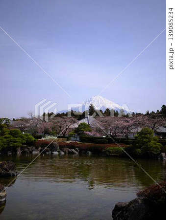 大石寺と富士山 大石寺と富士山 139085234