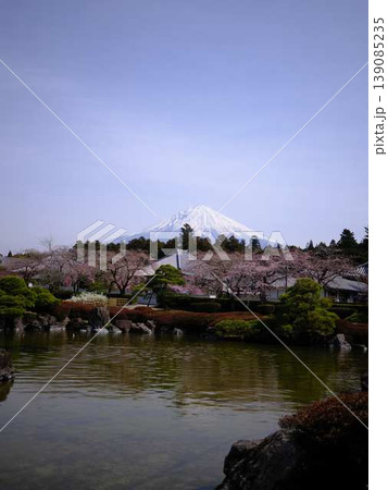 大石寺と富士山 大石寺と富士山 139085235