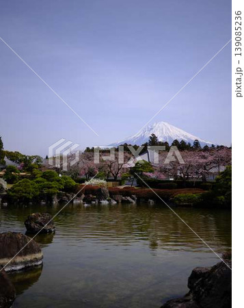 大石寺と富士山 139085236