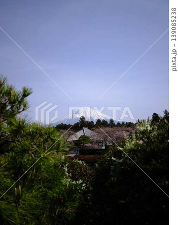 大石寺と富士山 大石寺と富士山 139085238