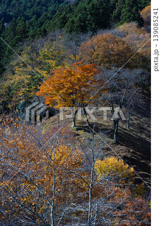 紅葉した山 139085241
