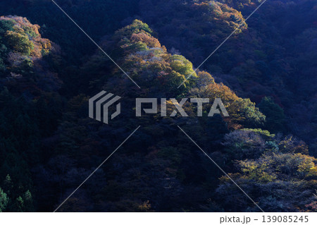 紅葉した山 紅葉した山 139085245