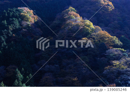 紅葉した山 紅葉した山 139085246