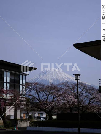 大石寺と富士山 大石寺と富士山 139085474