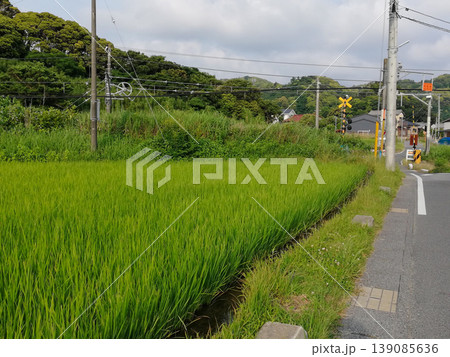 房総の田園風景と踏切のある日本の田舎道 139085636