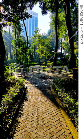 beautiful tropical scenery with morning sunlight beautiful tropical scenery with morning sunlight 139085649