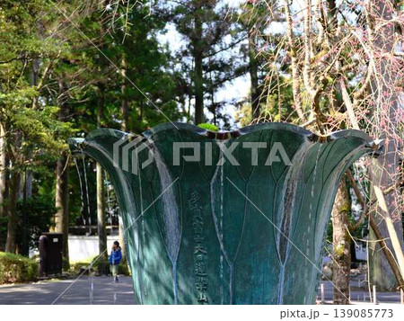 日本庭園 皇居 日本庭園 皇居 139085773