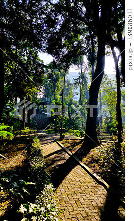 beautiful tropical scenery with morning sunlight 139086011
