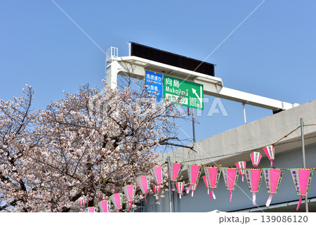 桜まつり開催の隅田川沿いに飾られたさくらぼんぼり 139086120