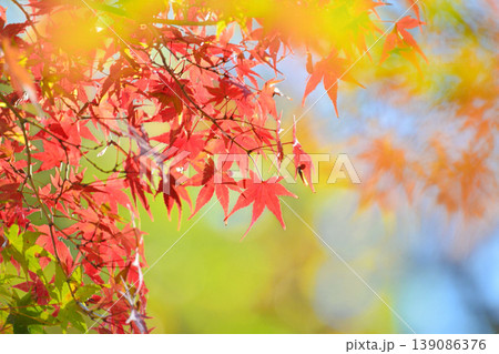 日本の秋の風景　紅葉 139086376