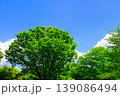 新緑と青空のある風景 139086494